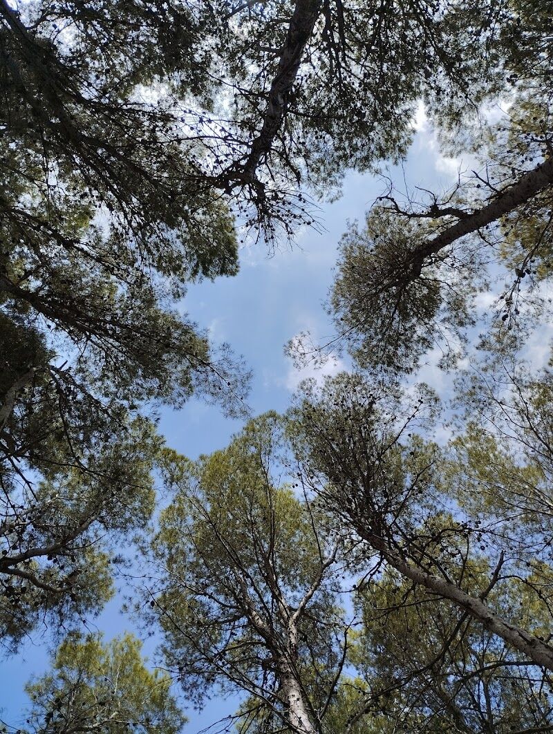 Imagen de Parque el Pinaret