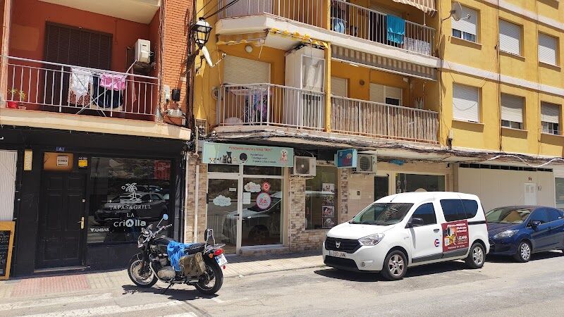 Imagen de Peluquería Canina Mimi Grooming In Denia