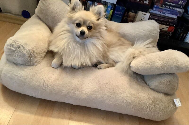 Imagen de Kiwoko. Mundo Animal