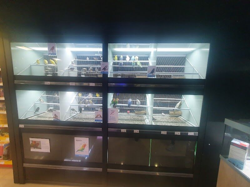 Imagen de Kiwoko. Mundo Animal