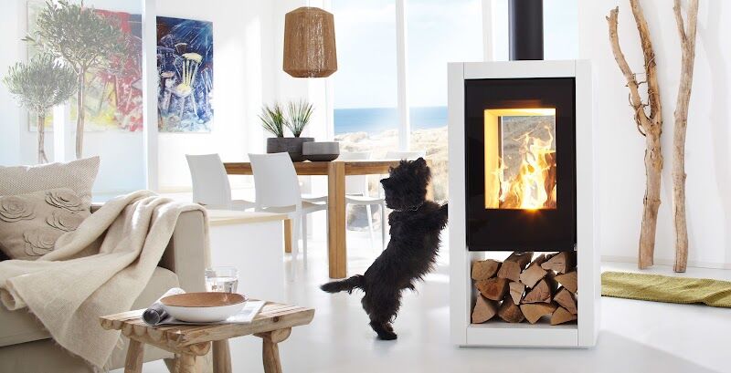 Imagen de Fuego Difusión – Importador Oficial de Chimeneas y Estufas