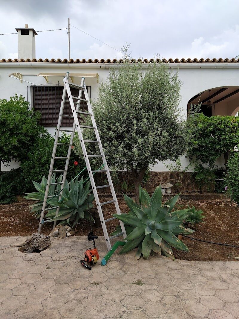 Imagen de Piscineros en Denia.
