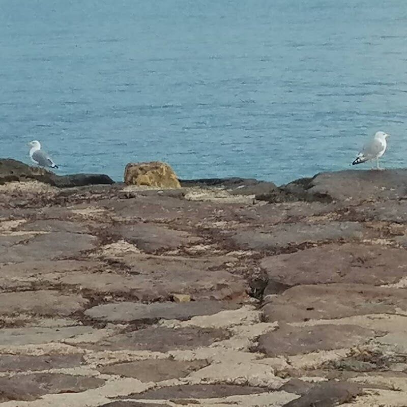 Imagen de Médico | Doctor Farid | Médico Internista | Ecografía Clínica | Dénia | Javea