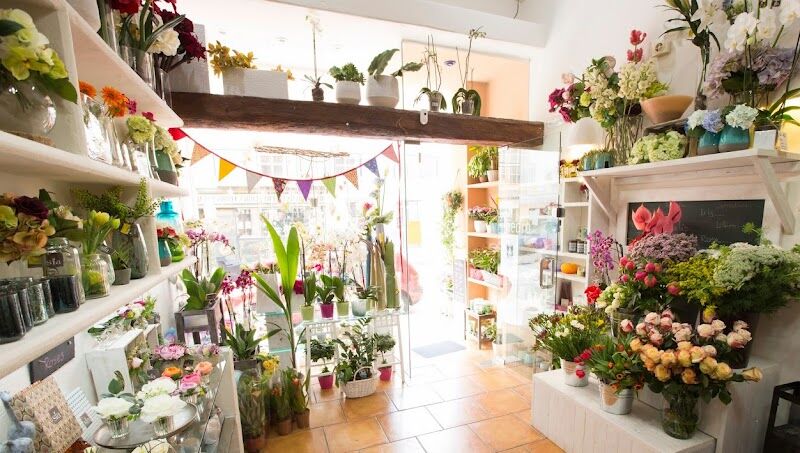 Imagen de Hedra Flors