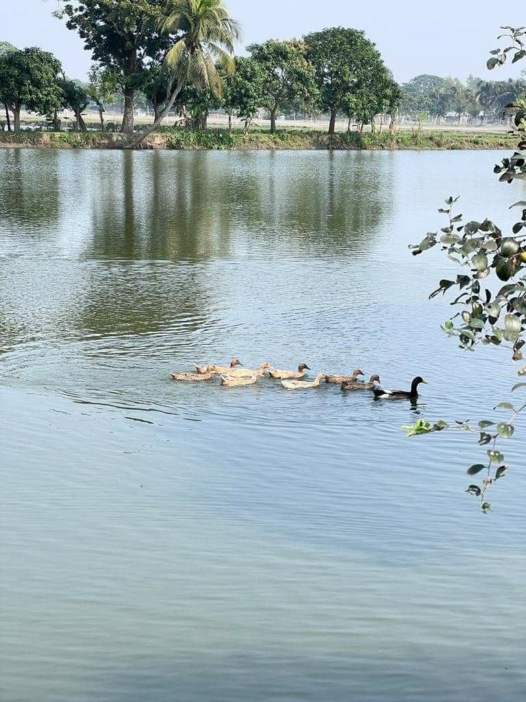 Imagen representativa de la localización