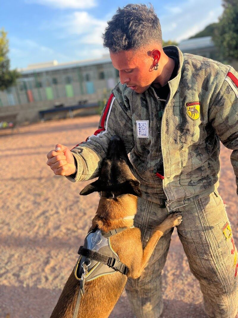 Imagen de Bastian, Adiestramiento Canino