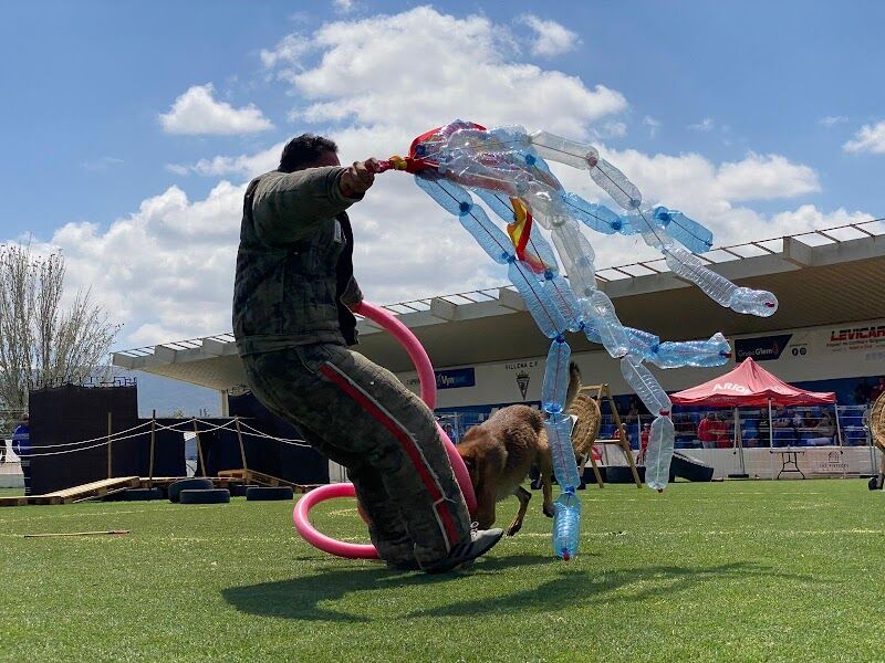 Imagen de Bastian, Adiestramiento Canino