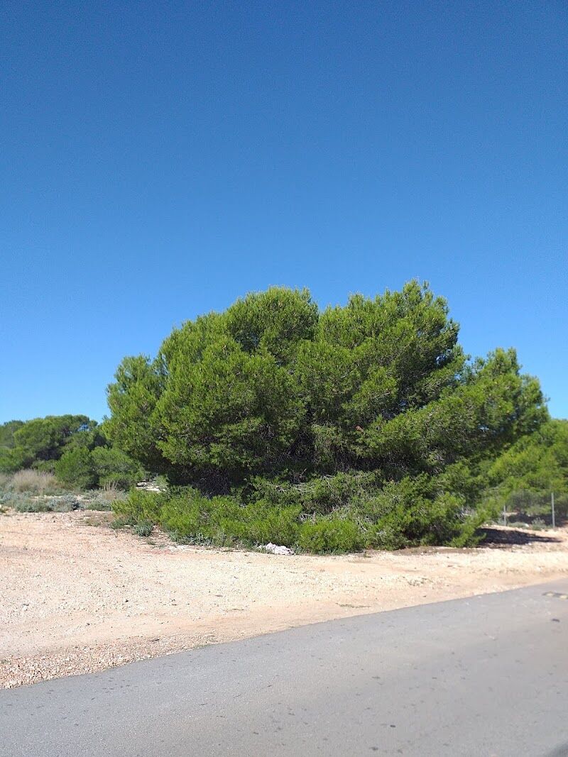 Imagen de Residencia Vista Calderona