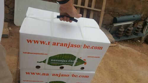 Imagen de Naranjas Orbe