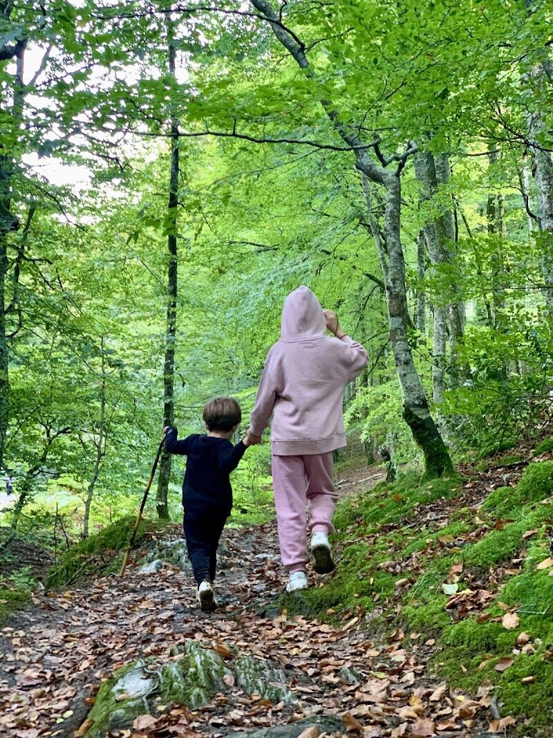 Imagen de Vanliferent Segorbe