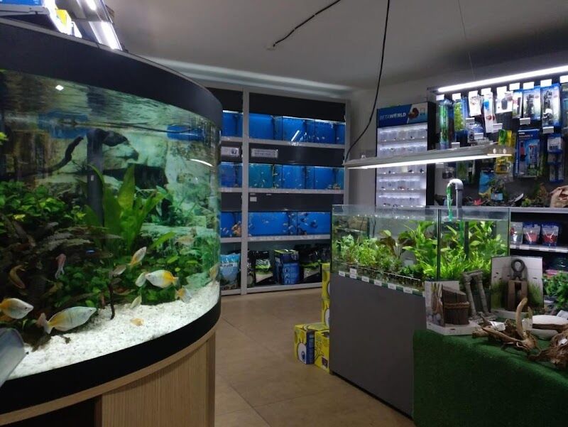 Imagen de Mundo Animal de Onda