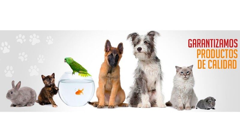 Imagen de Mundo Animal de Onda