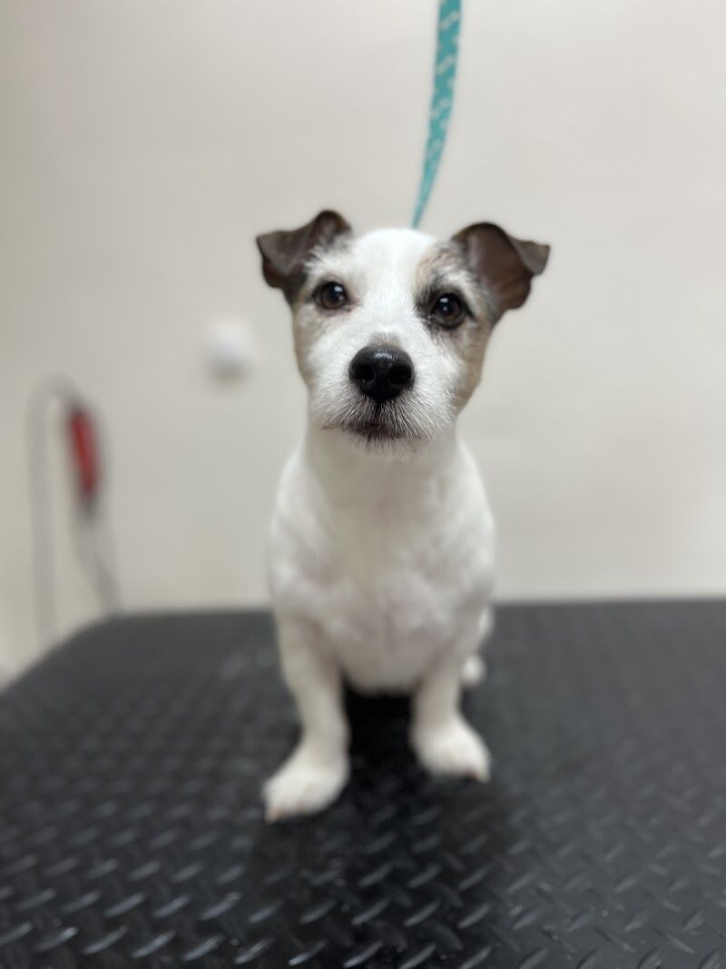 Imagen de Perruquería Guapets