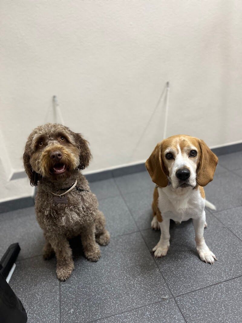 Imagen de Perruquería Guapets