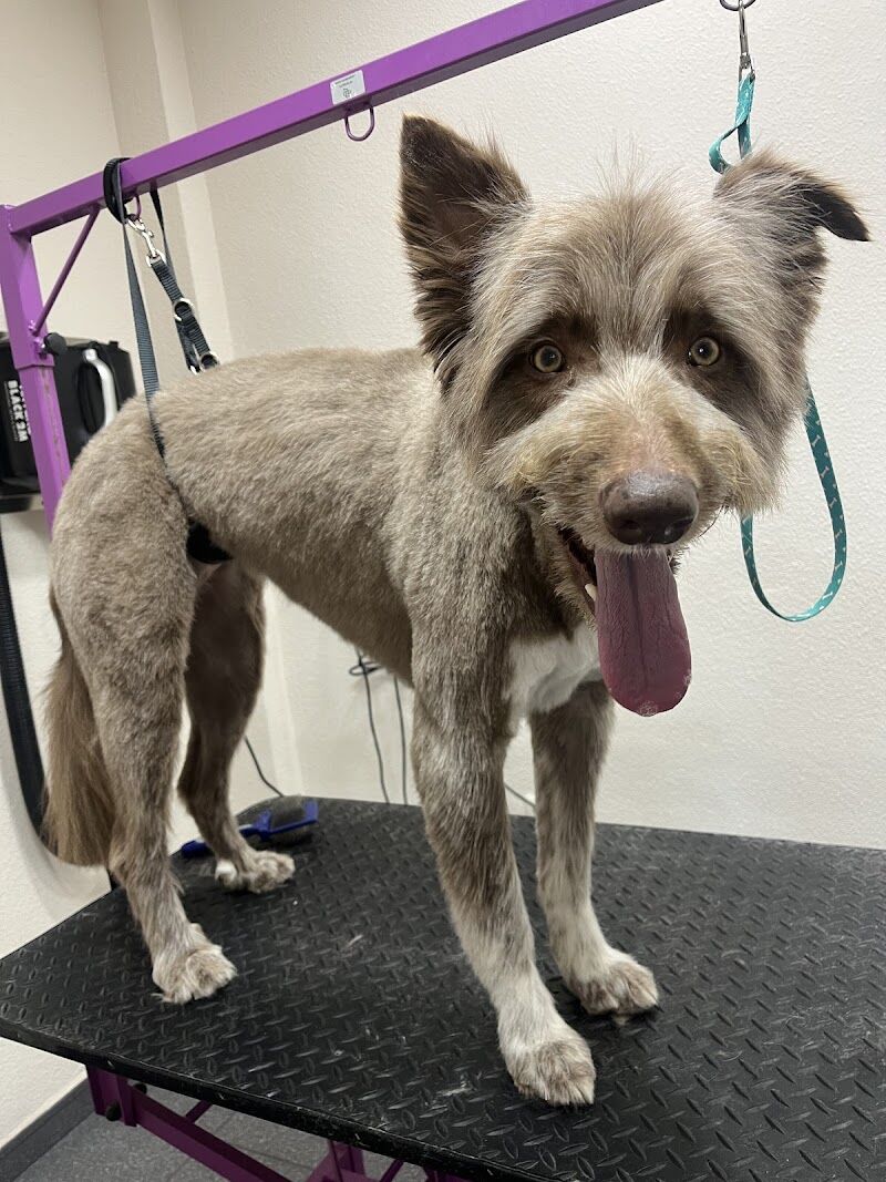 Imagen de Perruquería Guapets