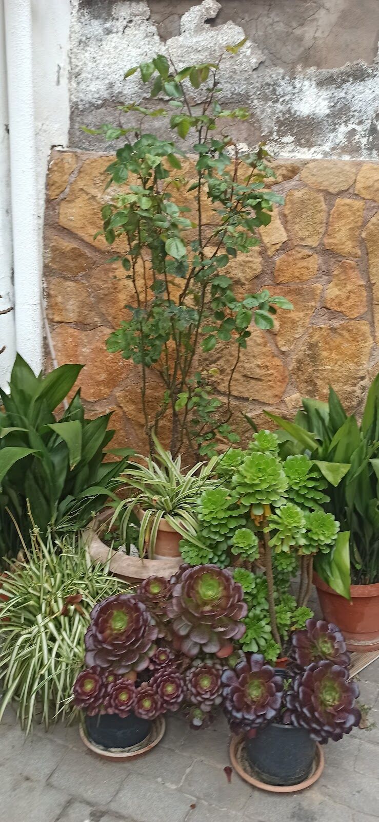 Imagen representativa de la localización