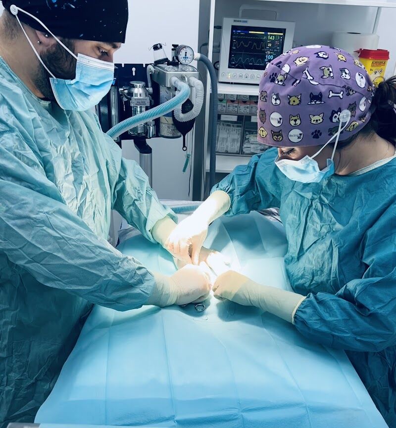 Imagen de Clínica Veterinaria Almenara