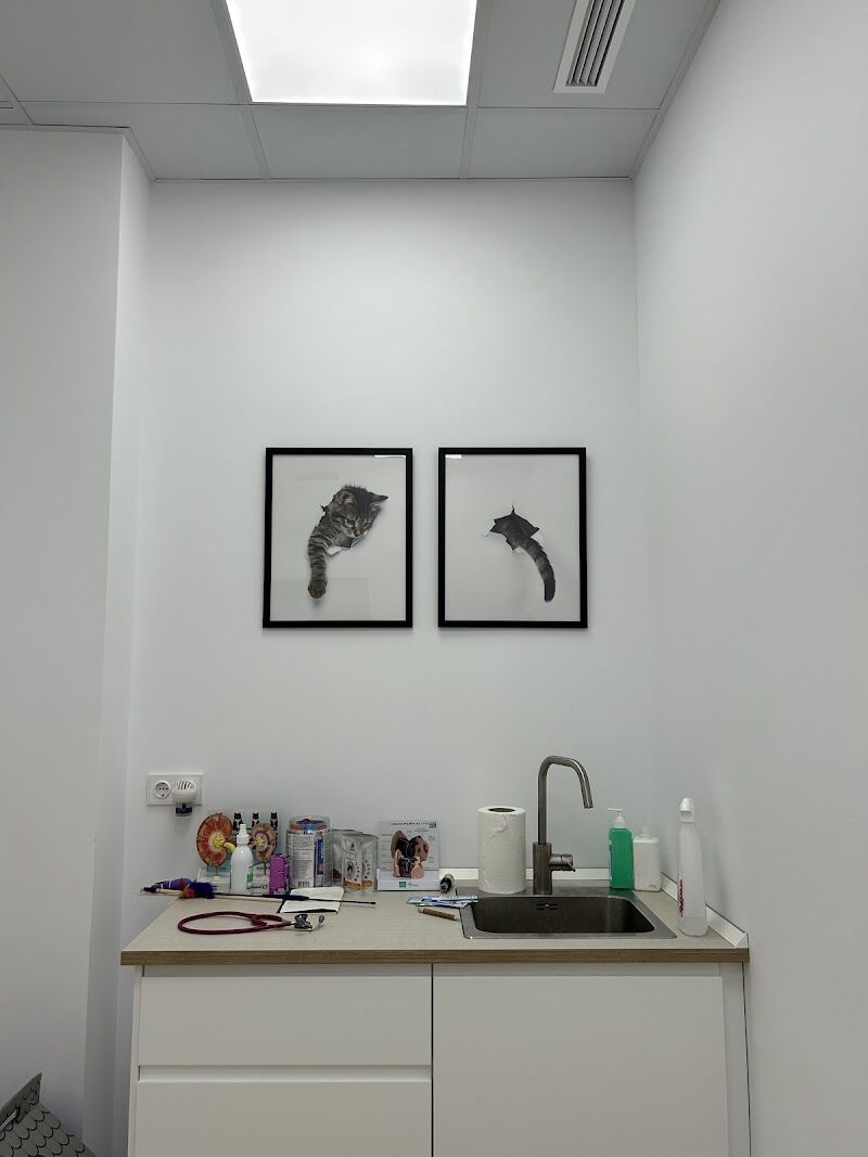 Imagen de Clínica Veterinaria Almenara