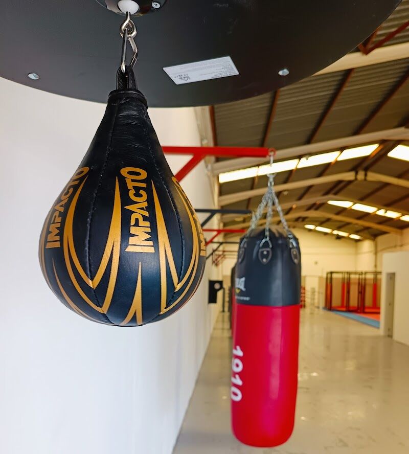 Imagen de negocio en Artes marciales en Vall de Uxó