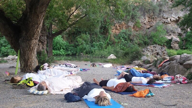 Imagen de Esencia – Centro de Yoga y Bienestar