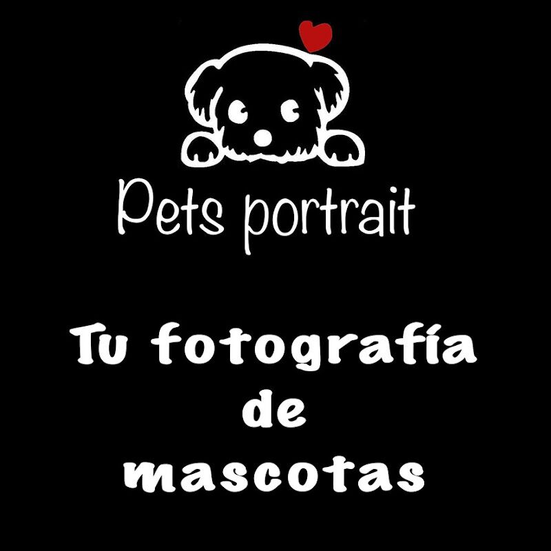 Imagen de negocio en Sesiones de fotos en Altura
