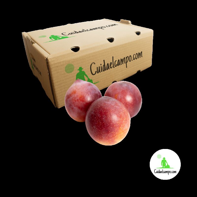 Imagen de Cuidaelcampo.com