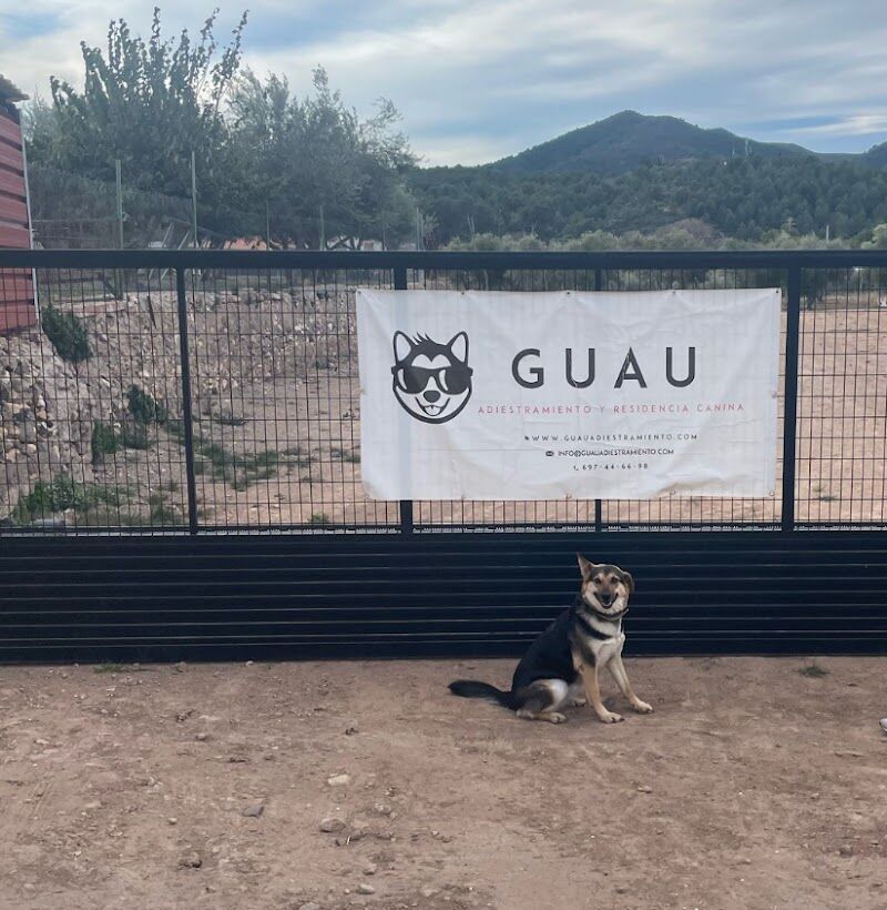 Imagen de negocio en Alojamiento en Provincia de Castellón