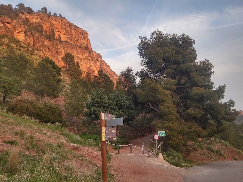 Imagen de negocio en Jardinería en Olocau