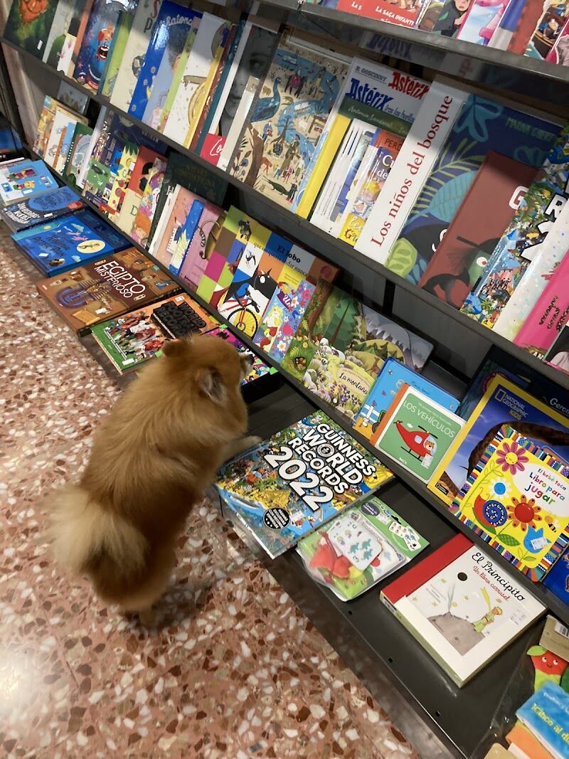 Imagen de negocio en Librería en Vall de Uxó