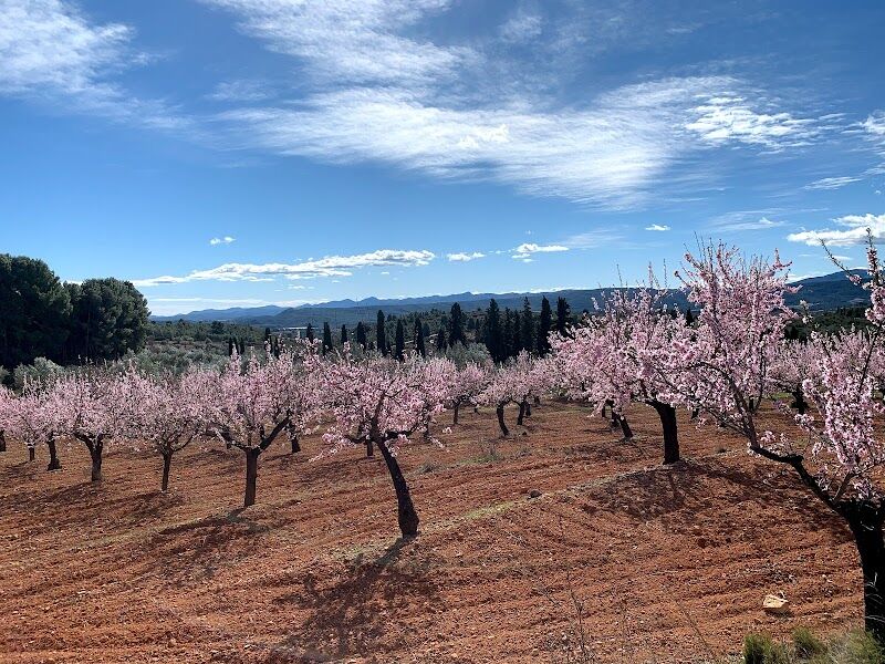 Imagen de Sudakayoga