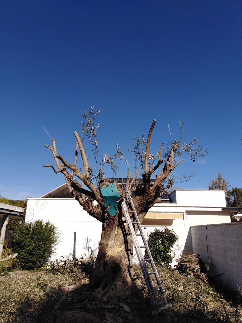 Imagen de negocio en Paisajismo en Benavites