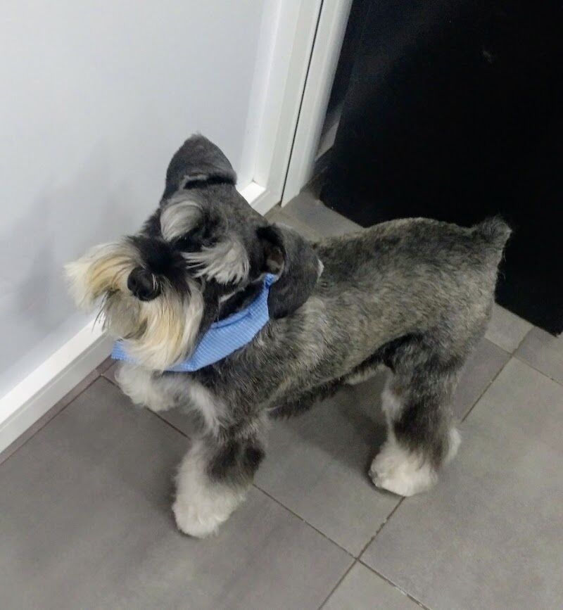 Imagen de La Huella de Adi