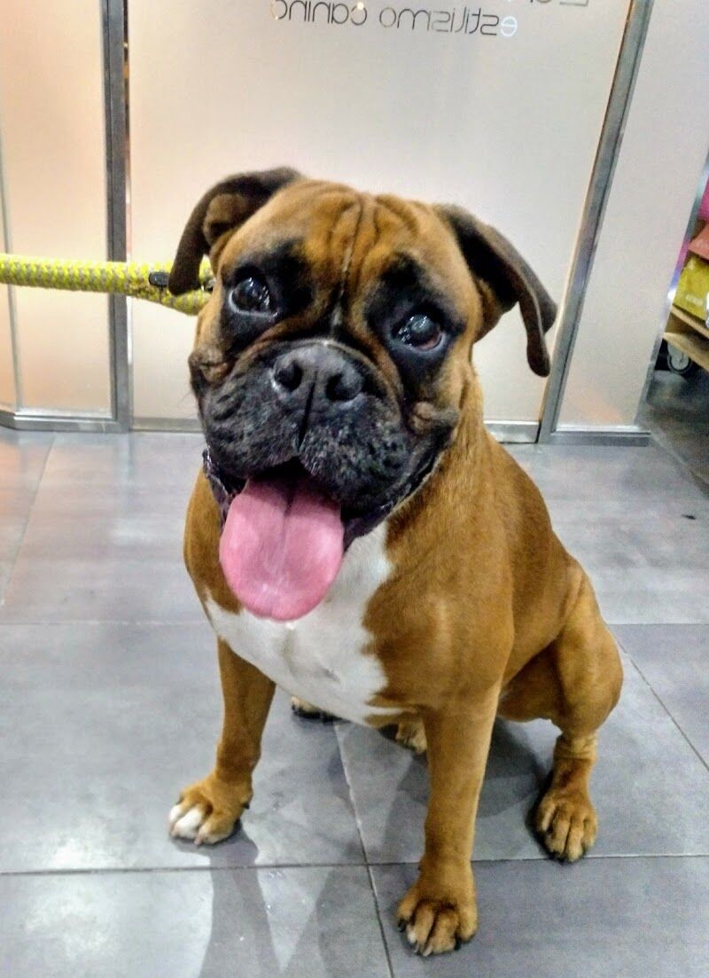 Imagen de La Huella de Adi