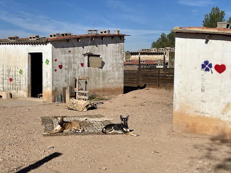 Imagen de negocio en Refugio de animales en Estivella