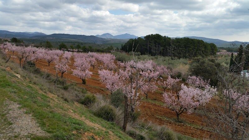 Imagen de Masía Novales (centro de Retiros Suryavana)