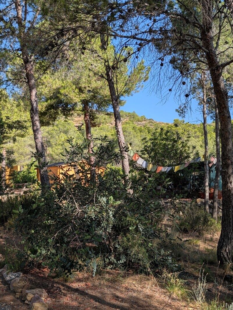 Imagen de negocio en Bienestar en Soneja