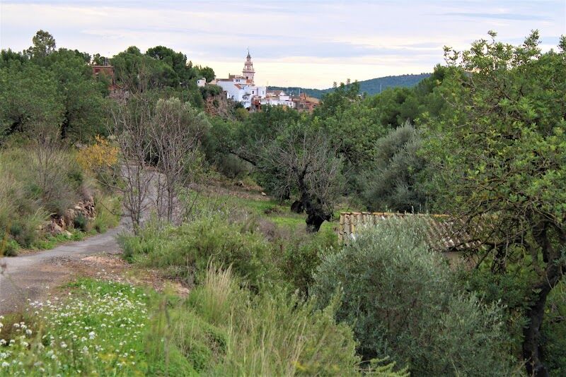 Imagen de negocio en Estivella (Valencia)