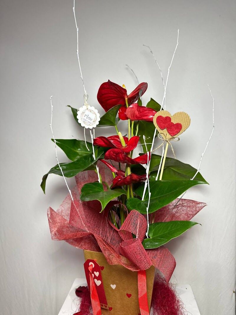 Imagen de negocio en Floristería en Provincia de Castellón