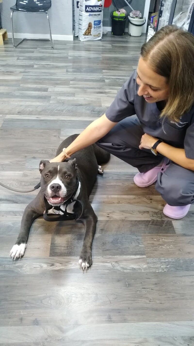 Imagen de Centro Veterinario Metge de Mascotes