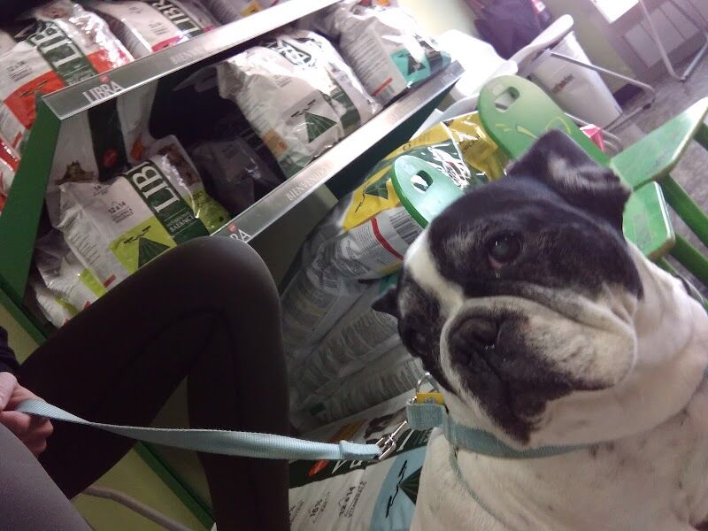 Imagen de Clinica Veterinária Canet