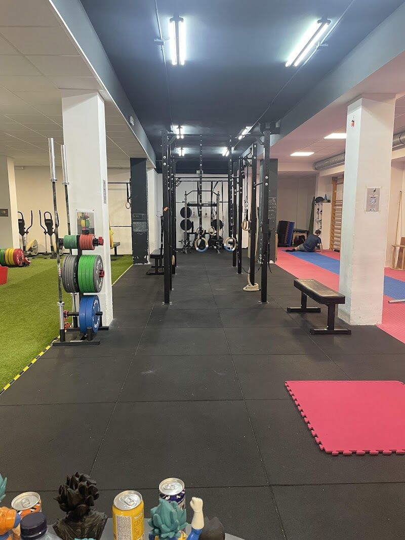 Imagen de Calistecnix