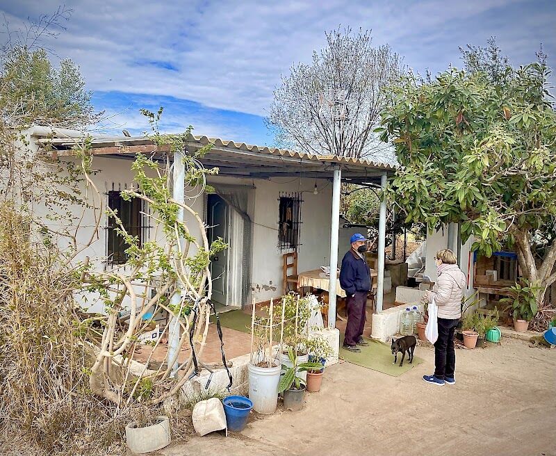 Imagen de negocio en Frutería en Provincia de Castellón