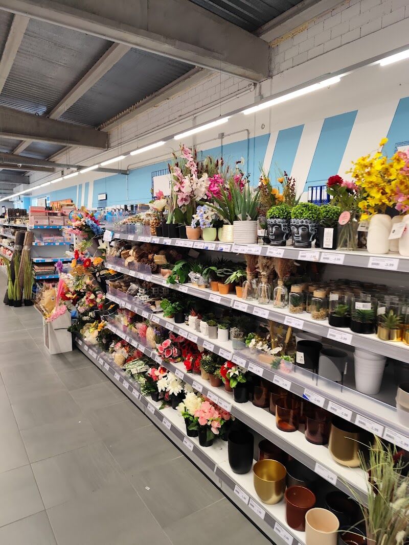 Imagen de Action Puerto de Sagunto