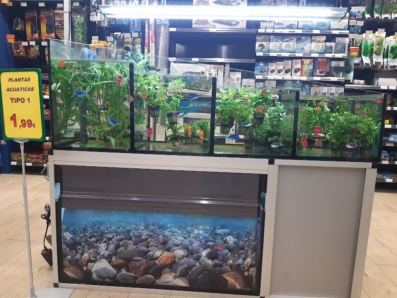 Imagen de Tiendanimal