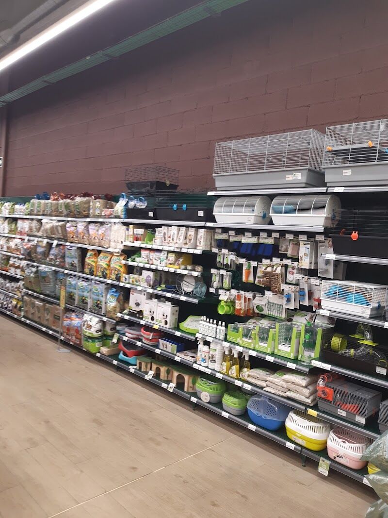 Imagen de Tiendanimal