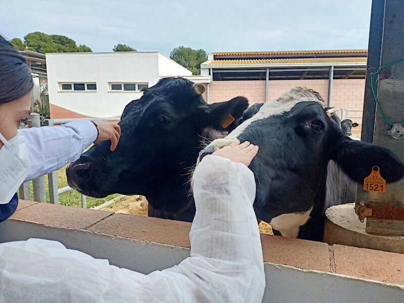 Imagen de Granja Docente y de Investigación Veterinaria Ceu Uch