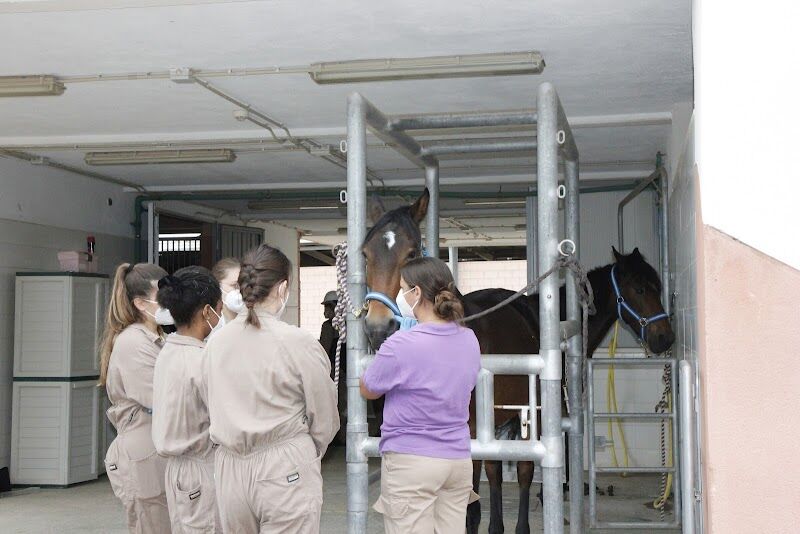 Imagen de Granja Docente y de Investigación Veterinaria Ceu Uch