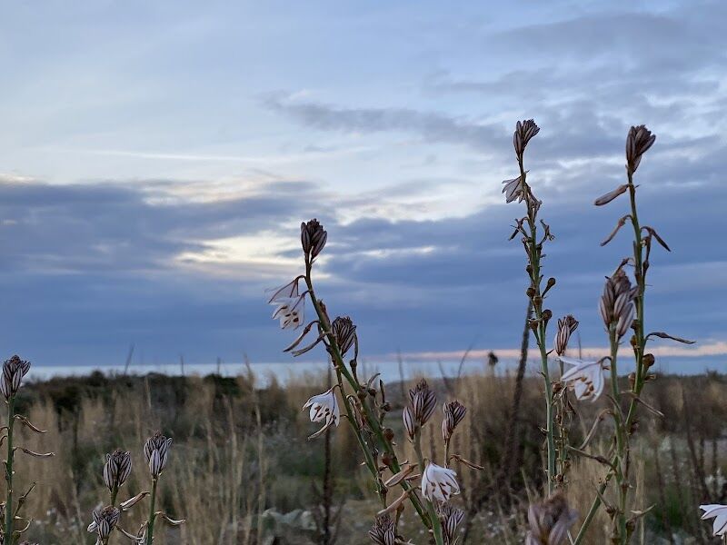 Imagen representativa de la localización