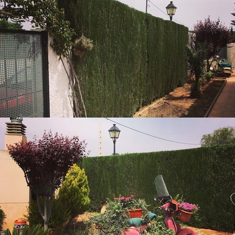 Imagen de Greenverd Jardinería