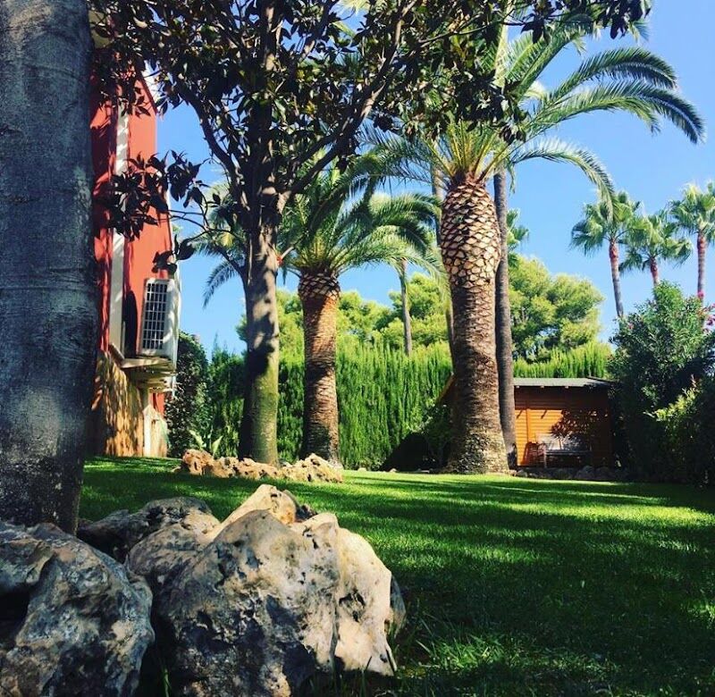 Imagen de Greenverd Jardinería